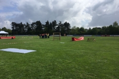 BWB2019_Vechta_02
