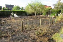 Flächenbrand_2