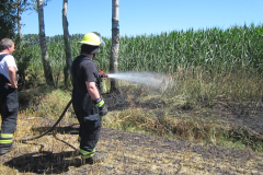 Flächenbrand_Dinklage_01
