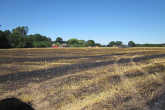 Flächenbrand_Dinklage_02