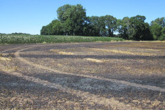 Flächenbrand_Dinklage_04