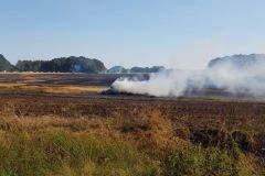 Flächenbrand_03