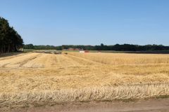 Flächenbrand_03