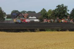 Flächenbrand_Nk_03