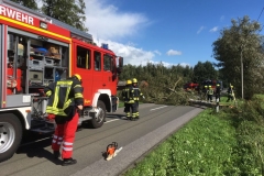 Sturm_02
