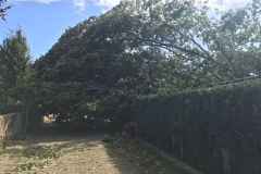 Sturm_05