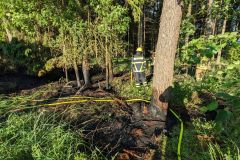 2024-05-16_Waldbrand_02