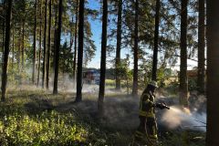 2024-05-16_Waldbrand_03
