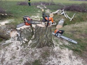 Motorsägenlehrgang Februar 2018