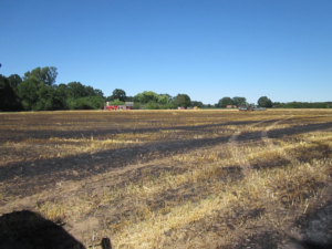 Flächenbrand Dinklage / 02.07.18
