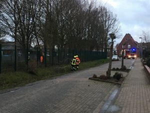 Sturmeinsatz / 09.03.19
