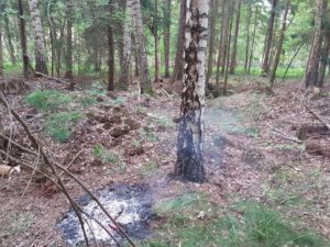 Lagerfeuer im Wald / 28.05.19