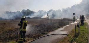Flächenbrand Dinklage / 24.07.2019
