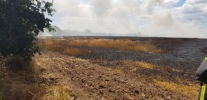 VU mit Flächenbrand (Gehrde) / 03.07.2019