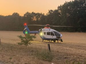Waldbrand – alte Brandstelle / 24.07.2019