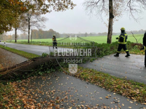 Fehlalarme und Baum auf Fahrbahn / 25.11.19