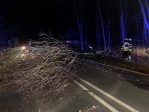 Mehrere Einsätze / 16.02.2020