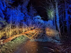 Zahlreiche Sturmeinsätze / 17. – 19.02.22