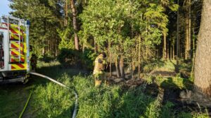 Waldbrand Gramke / 16.05.2024