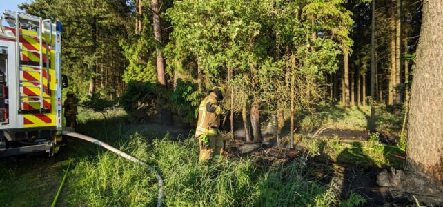 Waldbrand Gramke / 16.05.2024
