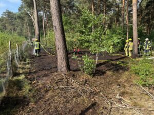 Waldbrand Fladderlohausen / 21.05.2025