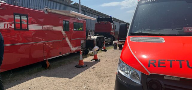 Feuer 4 – Waldbrand / 02.07.2025
